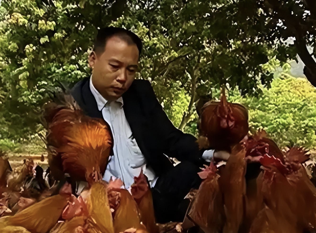 Người đàn ông bị chê cười vì thuê 5.000 mẫu đất núi, hơn chục công nhân chỉ để nuôi 1 con vật: 4 năm sau trở thành triệu phú, tiền về không ngớt- Ảnh 2. Người đàn ông bị chê cười vì thuê 5.000 mẫu đất núi, hơn chục công nhân chỉ để nuôi 1 con vật: 4 năm sau trở thành triệu phú, tiền về không ngớt- Ảnh 2.