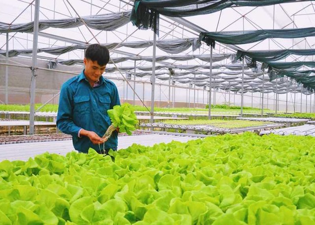 Biến vùng đất ven biển hoang sơ có lịch sử hơn 1.000 năm trở thành"mỏ vàng"- Ảnh 3. Biến vùng đất ven biển hoang sơ có lịch sử hơn 1.000 năm trở thành"mỏ vàng"- Ảnh 3.