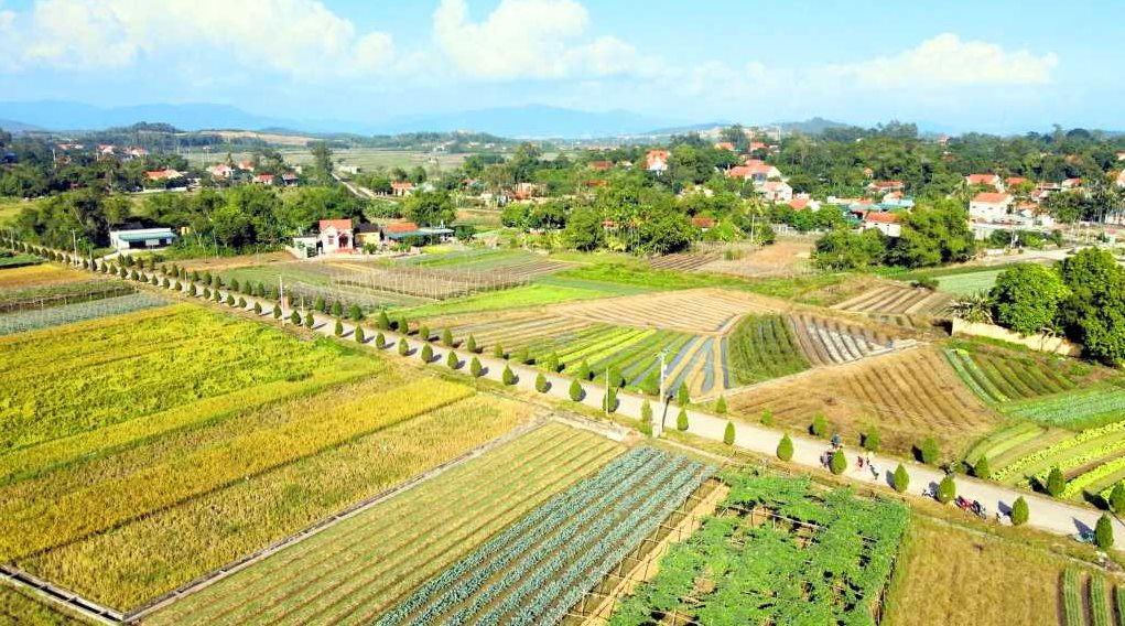 Biến vùng đất ven biển hoang sơ có lịch sử hơn 1.000 năm trở thành"mỏ vàng"- Ảnh 1. Biến vùng đất ven biển hoang sơ có lịch sử hơn 1.000 năm trở thành"mỏ vàng"- Ảnh 1.
