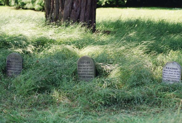 Nghĩa trang thú cưng đáng yêu của Nữ vương Elizabeth II: Nơi an nghỉ của những chú corgi trung thành- Ảnh 2. Nghĩa trang thú cưng đáng yêu của Nữ vương Elizabeth II: Nơi an nghỉ của những chú corgi trung thành- Ảnh 2.