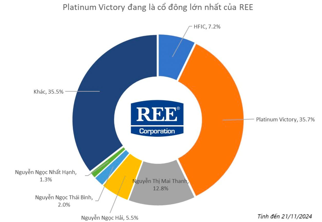 31 năm của REE dưới thời Chủ tịch Mai Thanh và vấn đề “vật vã” nhất- Ảnh 2.