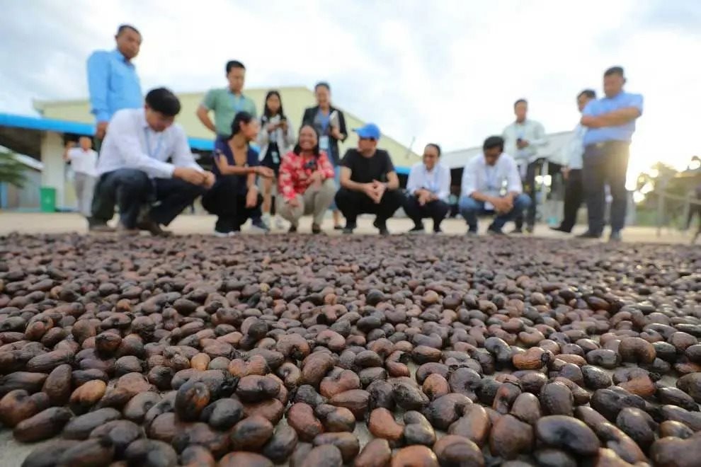 Nhà máy 12 triệu USD của Campuchia sắp hoàn thành, một ngành thế mạnh của Việt Nam có thể bị ảnh hưởng- Ảnh 4.