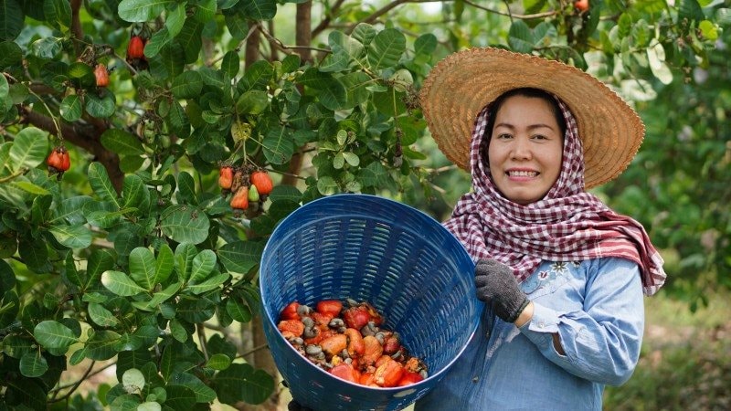 Nhà máy 12 triệu USD của Campuchia sắp hoàn thành, một ngành thế mạnh của Việt Nam có thể bị ảnh hưởng- Ảnh 2.
