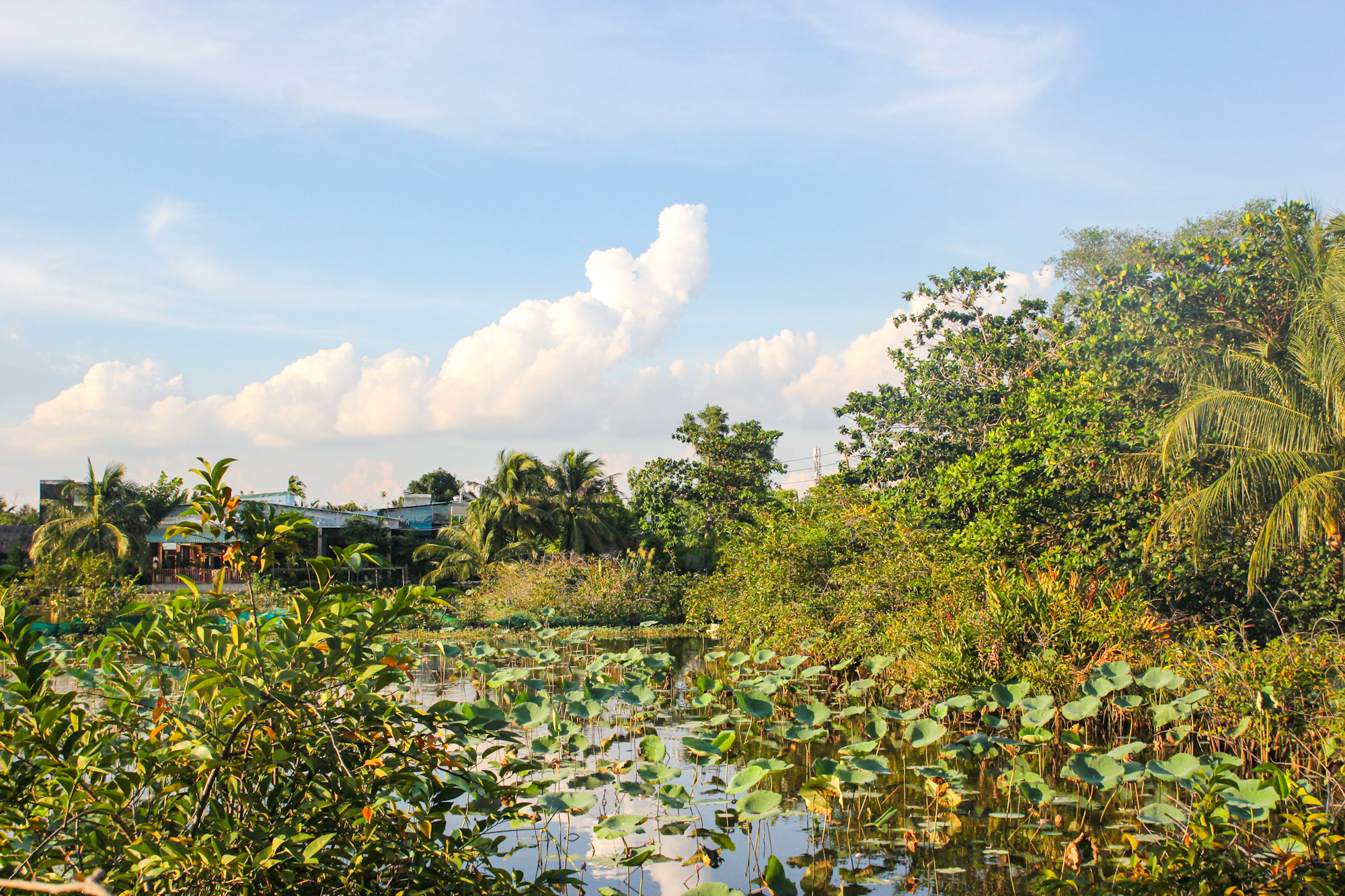 Sớm chốt ý tưởng quy hoạch đột phá để người dân "vùng nông thôn" ngay cạnh quận 1 “đổi vận” sau 30 năm quy hoạch treo- Ảnh 8.