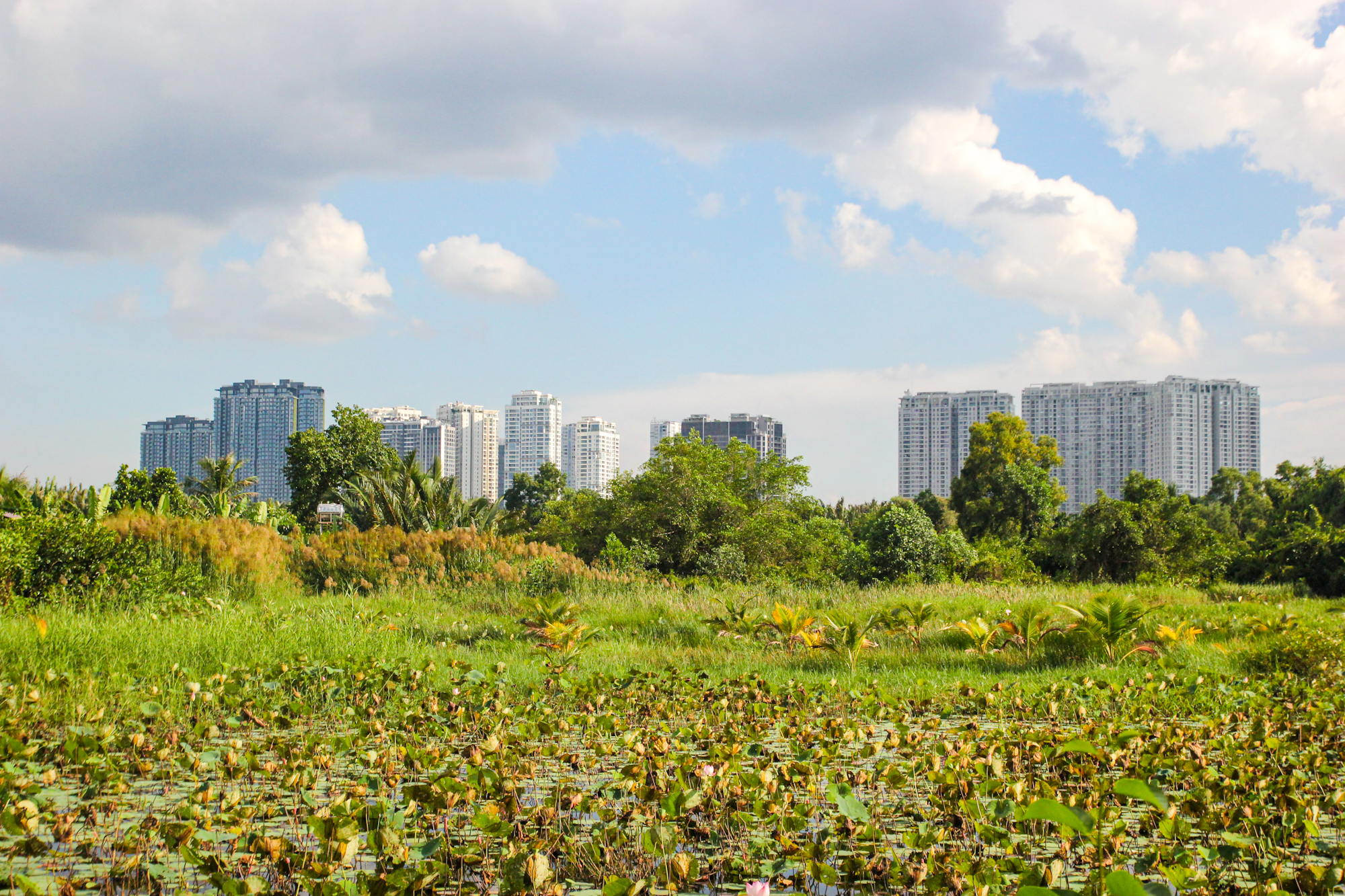Sớm chốt ý tưởng quy hoạch đột phá để người dân "vùng nông thôn" ngay cạnh quận 1 “đổi vận” sau 30 năm quy hoạch treo- Ảnh 13.