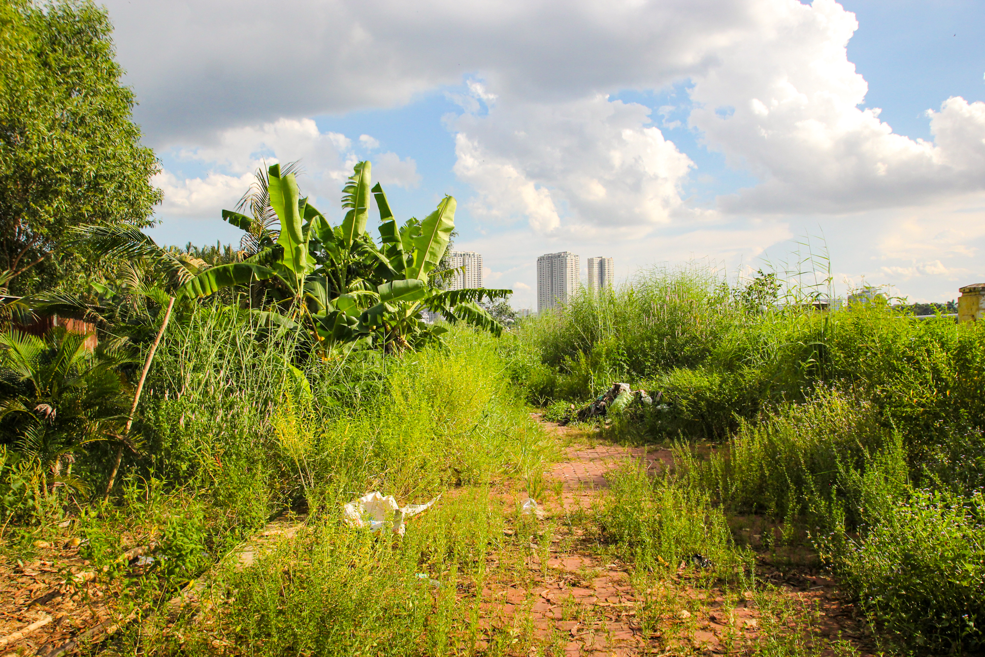 Sớm chốt ý tưởng quy hoạch đột phá để người dân "vùng nông thôn" ngay cạnh quận 1 “đổi vận” sau 30 năm quy hoạch treo- Ảnh 5.