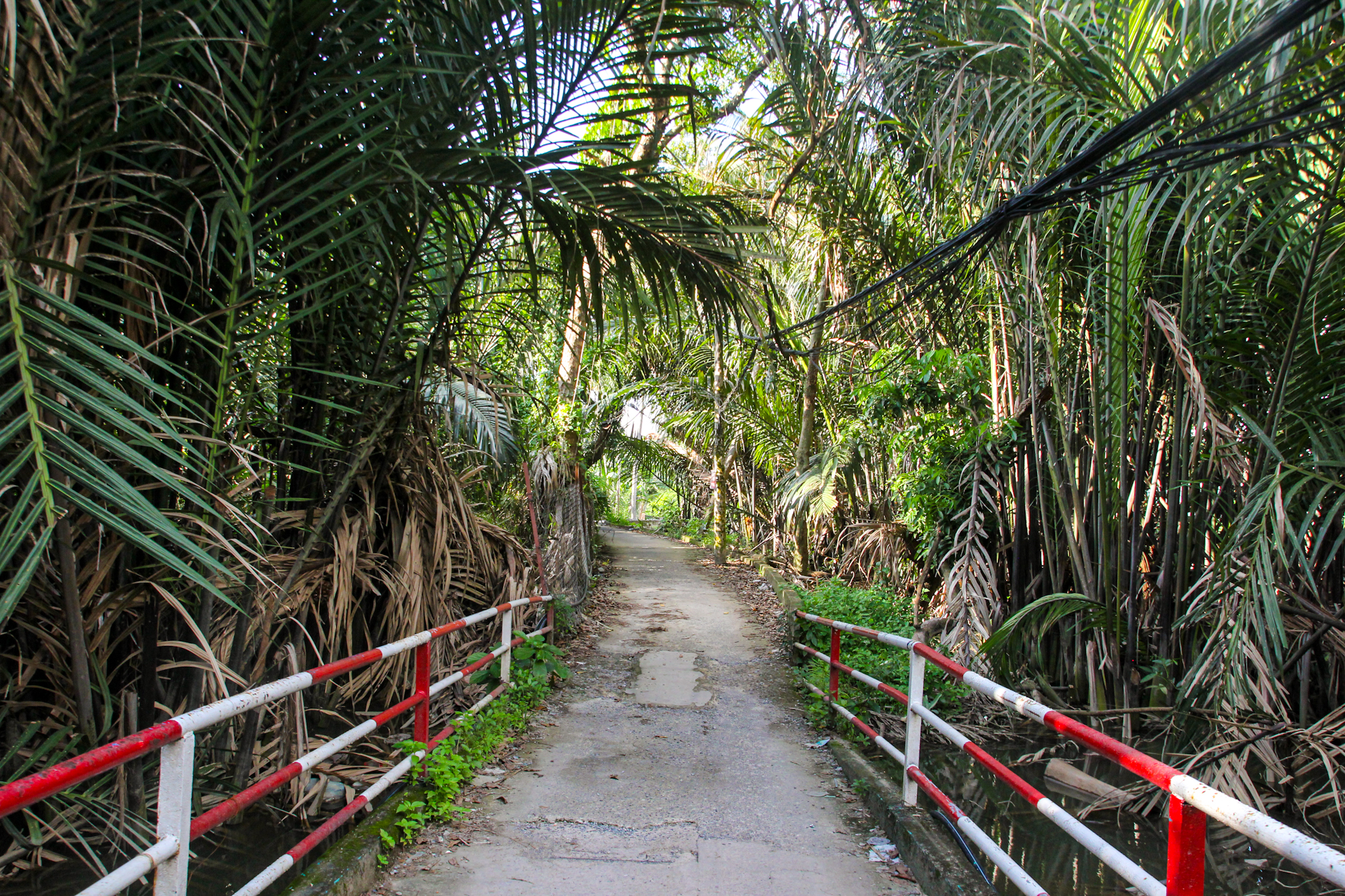 Sớm chốt ý tưởng quy hoạch đột phá để người dân "vùng nông thôn" ngay cạnh quận 1 “đổi vận” sau 30 năm quy hoạch treo- Ảnh 4.