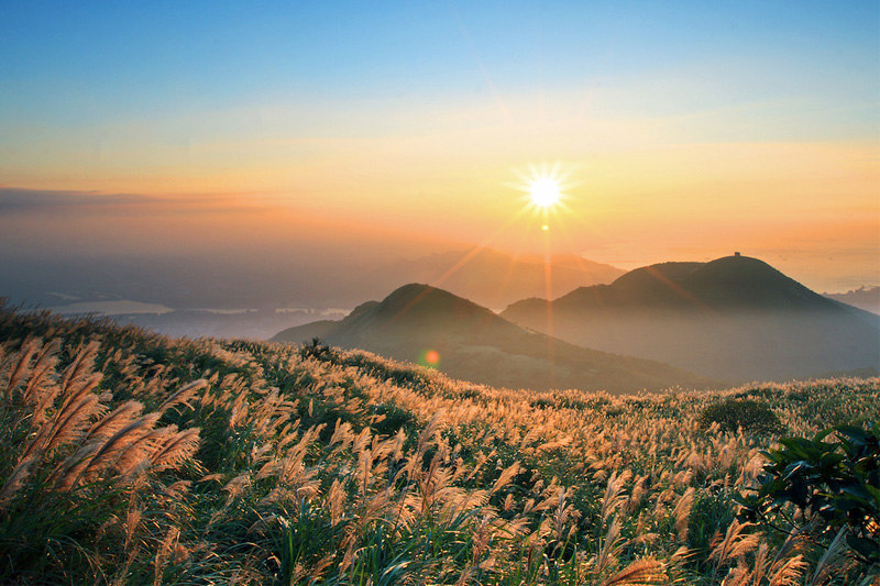 ‘‘Thiên đường hạ giới’’ cách Hà Nội 260km đang hút biển người đến check-in: Du khách leo đồi, dậy từ 3h sáng để ngắm cảnh đẹp mỗi năm một lần- Ảnh 1.