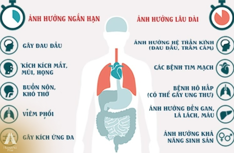 Đưa chỉ số gây ung thư về 0, 'tấm áo rực rỡ' của hàng triệu sản phẩm Việt vượt ải khắt khe châu Âu và Mỹ- Ảnh 1.