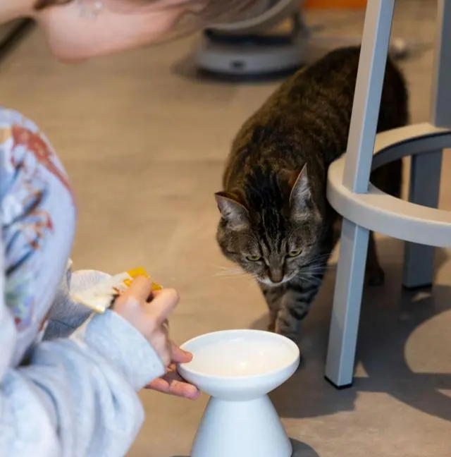 Căn hộ 57m2 của nhà thiết kế thời trang 46 tuổi: Tối giản, tiện ích vừa đủ cho cuộc sống độc thân hoàn hảo- Ảnh 2. Căn hộ 57m2 của nhà thiết kế thời trang 46 tuổi: Tối giản, tiện ích vừa đủ cho cuộc sống độc thân hoàn hảo- Ảnh 2.