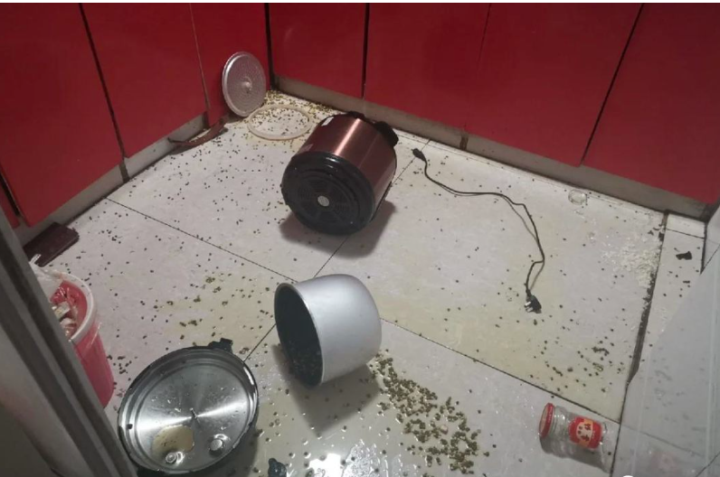 Một người bất cẩn, cả nhà chịu hậu họa: 9 nguy hiểm trong bếp nhất định phải tránh xa- Ảnh 14. Một người bất cẩn, cả nhà chịu hậu họa: 9 nguy hiểm trong bếp nhất định phải tránh xa- Ảnh 14.