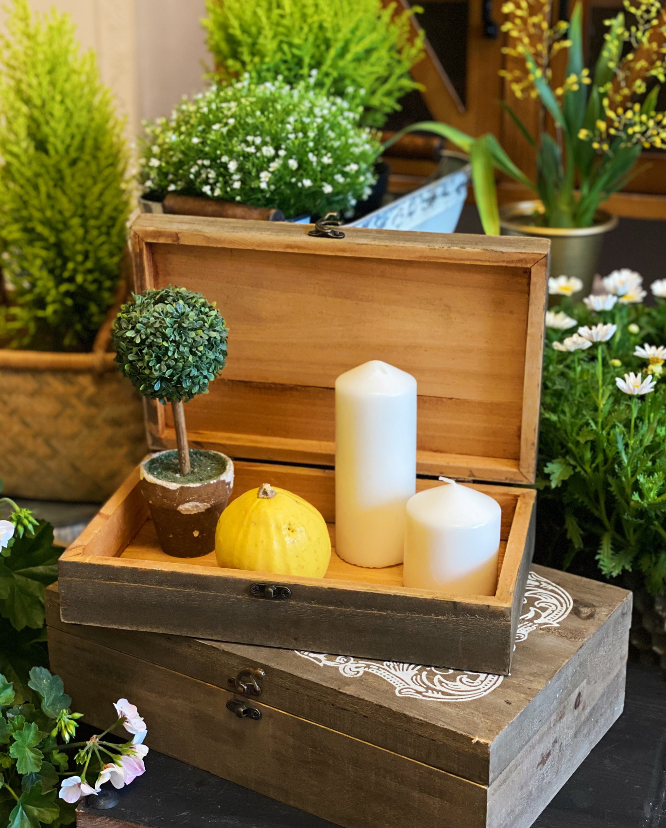 Người phụ nữ trung niên Người phụ nữ trung niên