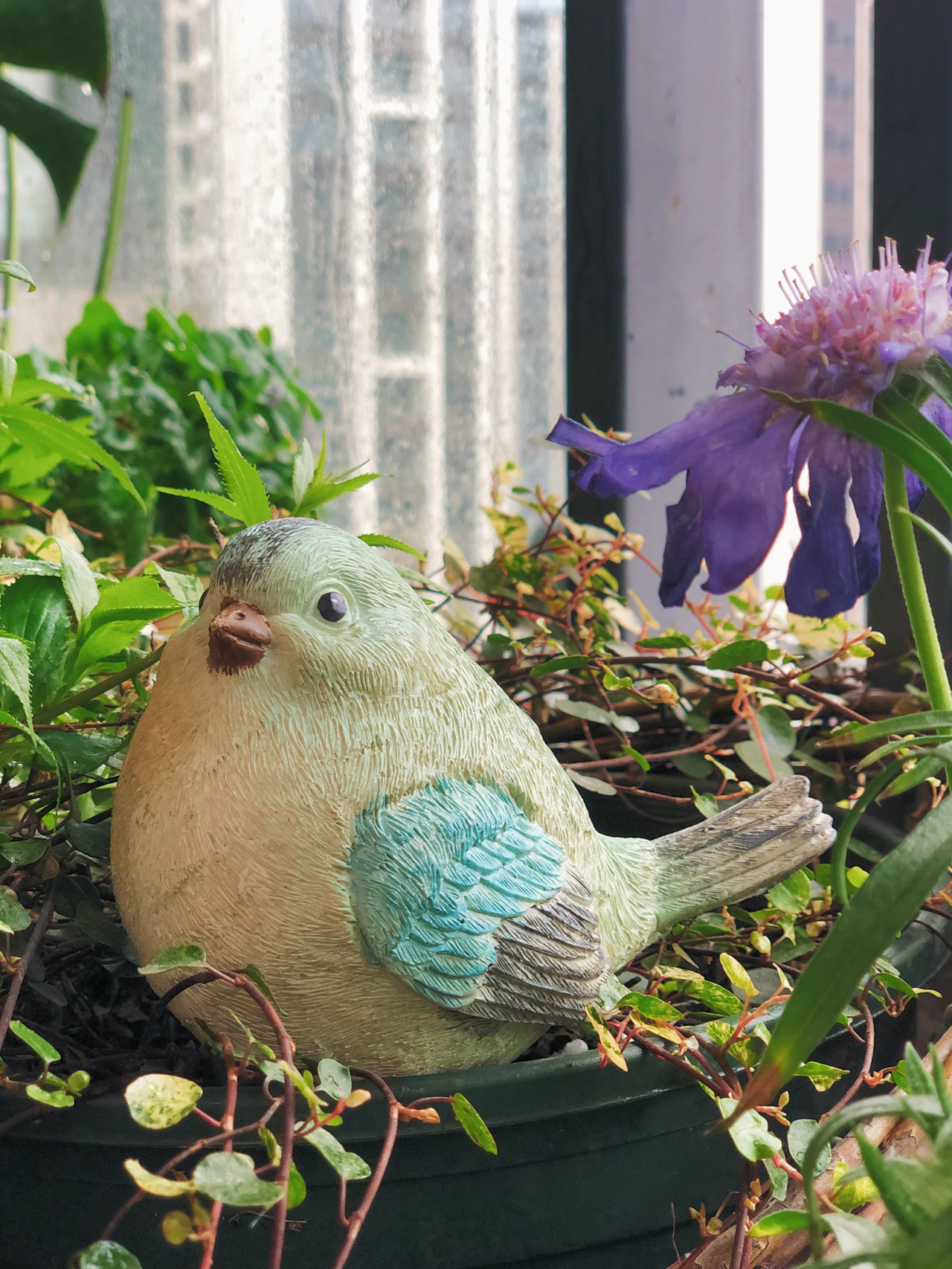 Người phụ nữ trung niên Người phụ nữ trung niên