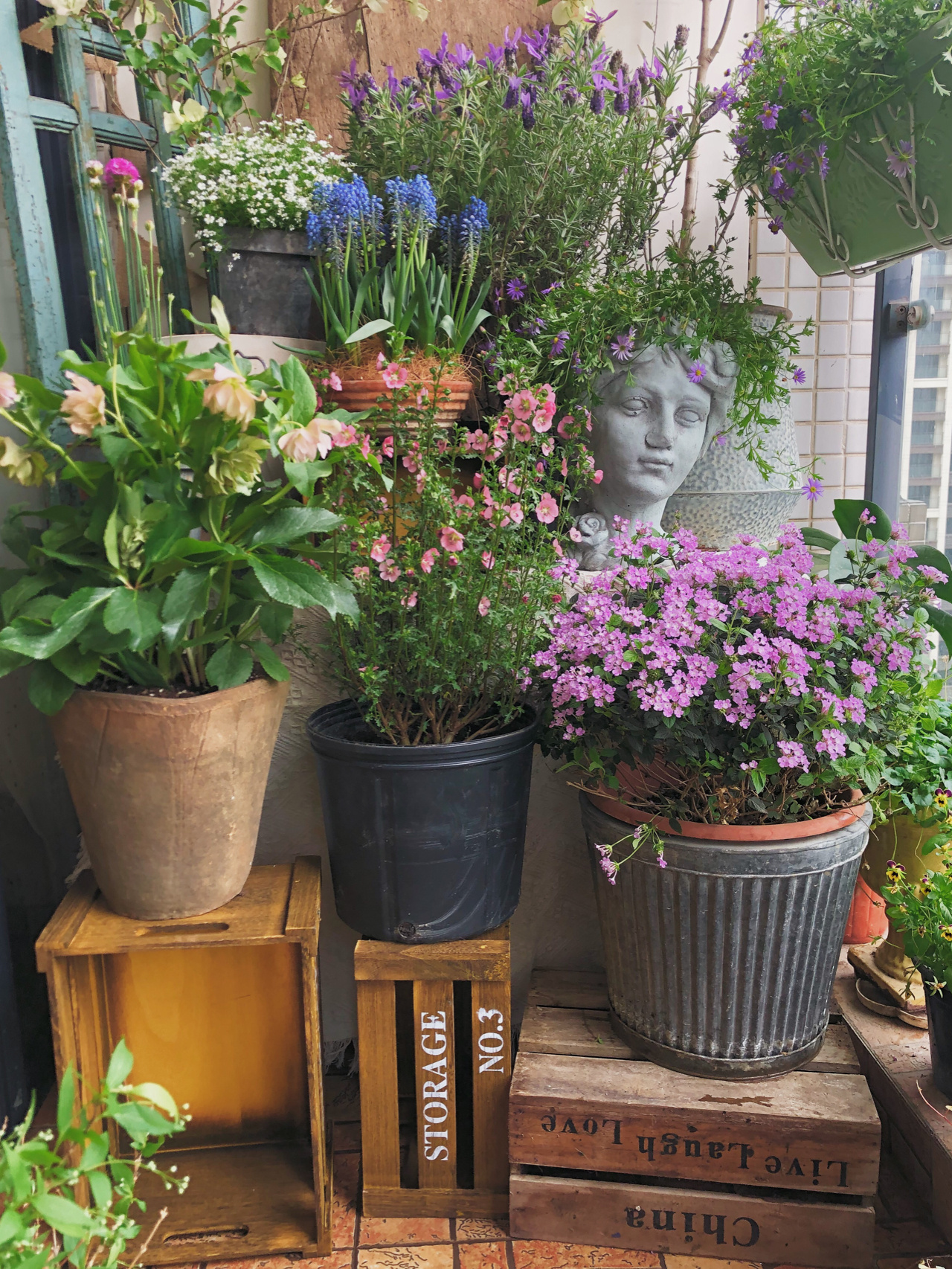 Người phụ nữ trung niên Người phụ nữ trung niên