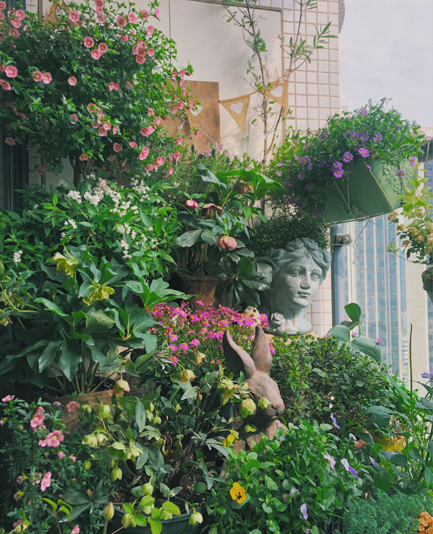 Người phụ nữ trung niên Người phụ nữ trung niên