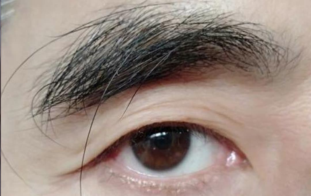 Lông mày dài hơn có thể sống lâu hơn? Bác sĩ trả lời khiến bao người phải thay đổi quan điểm- Ảnh 1.