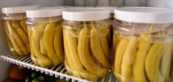 Loại quả xưa không ai ăn, nay thành đặc sản nổi tiếng ở thành phố giá 200k/kg, thế giới tôn thảo dược trị bách bệnh- Ảnh 3. Loại quả xưa không ai ăn, nay thành đặc sản nổi tiếng ở thành phố giá 200k/kg, thế giới tôn thảo dược trị bách bệnh- Ảnh 3.