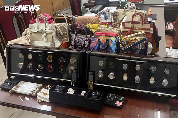 Loạt sổ đỏ, túi Hermes bạch tạng, siêu xe bị thu giữ trong vụ Mr Pips lừa đảo- Ảnh 3.