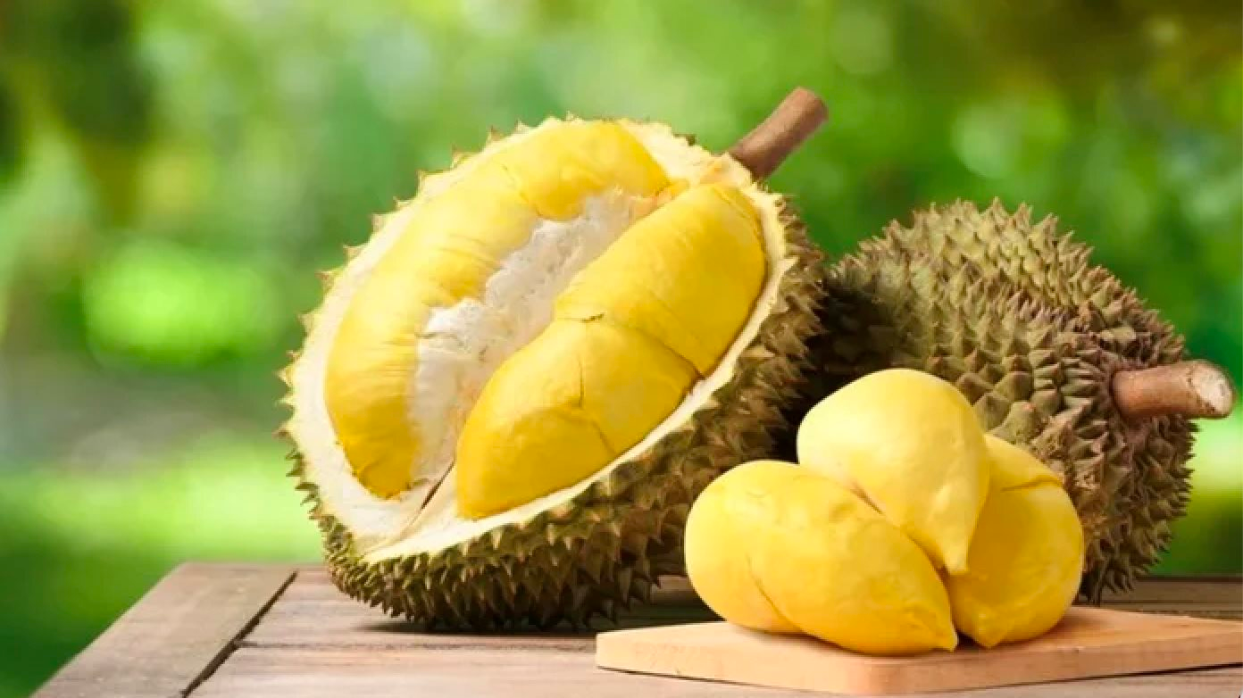 "Thu 10 đồng - lãi 7 đồng" từ sầu riêng, một DN trên sàn quyết định thanh lý 36ha đất bên Lào để tăng trồng sầu riêng- Ảnh 1.