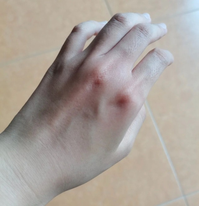 Mẹ tôi - một phụ nữ trung niên ít học nhưng lại là 