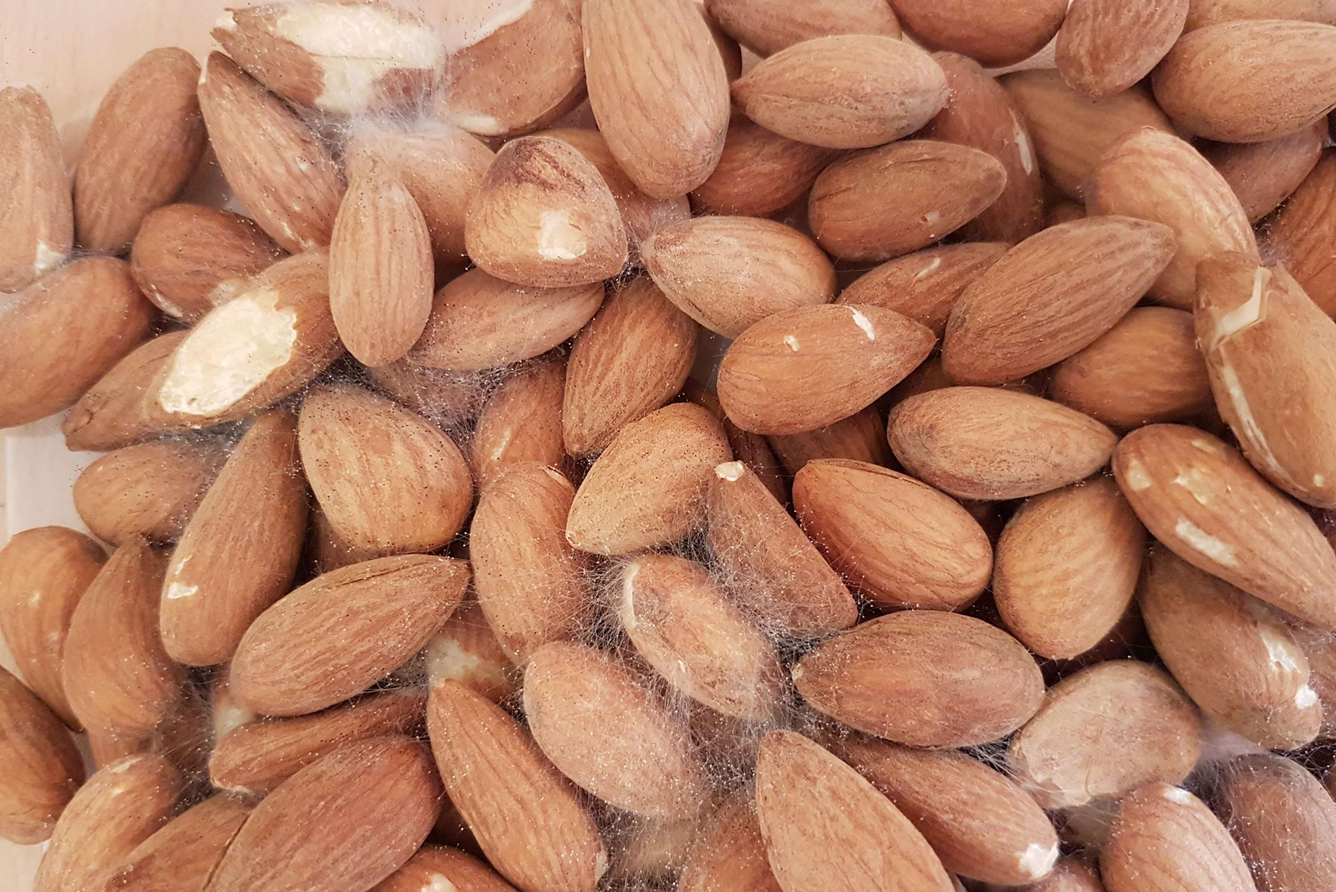 6 thực phẩm nằm trong danh sách gây ung thư được WHO cảnh báo: Nhiều người ăn ngấu nghiến mỗi ngày- Ảnh 3. 6 thực phẩm nằm trong danh sách gây ung thư được WHO cảnh báo: Nhiều người ăn ngấu nghiến mỗi ngày- Ảnh 3.