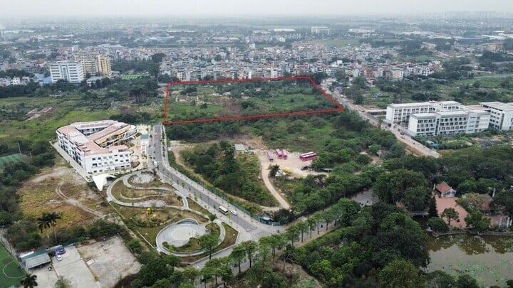 Đấu giá khu đất gần 44.000 m2 tại quận Hoàng Mai, Hà Nội- Ảnh 1.