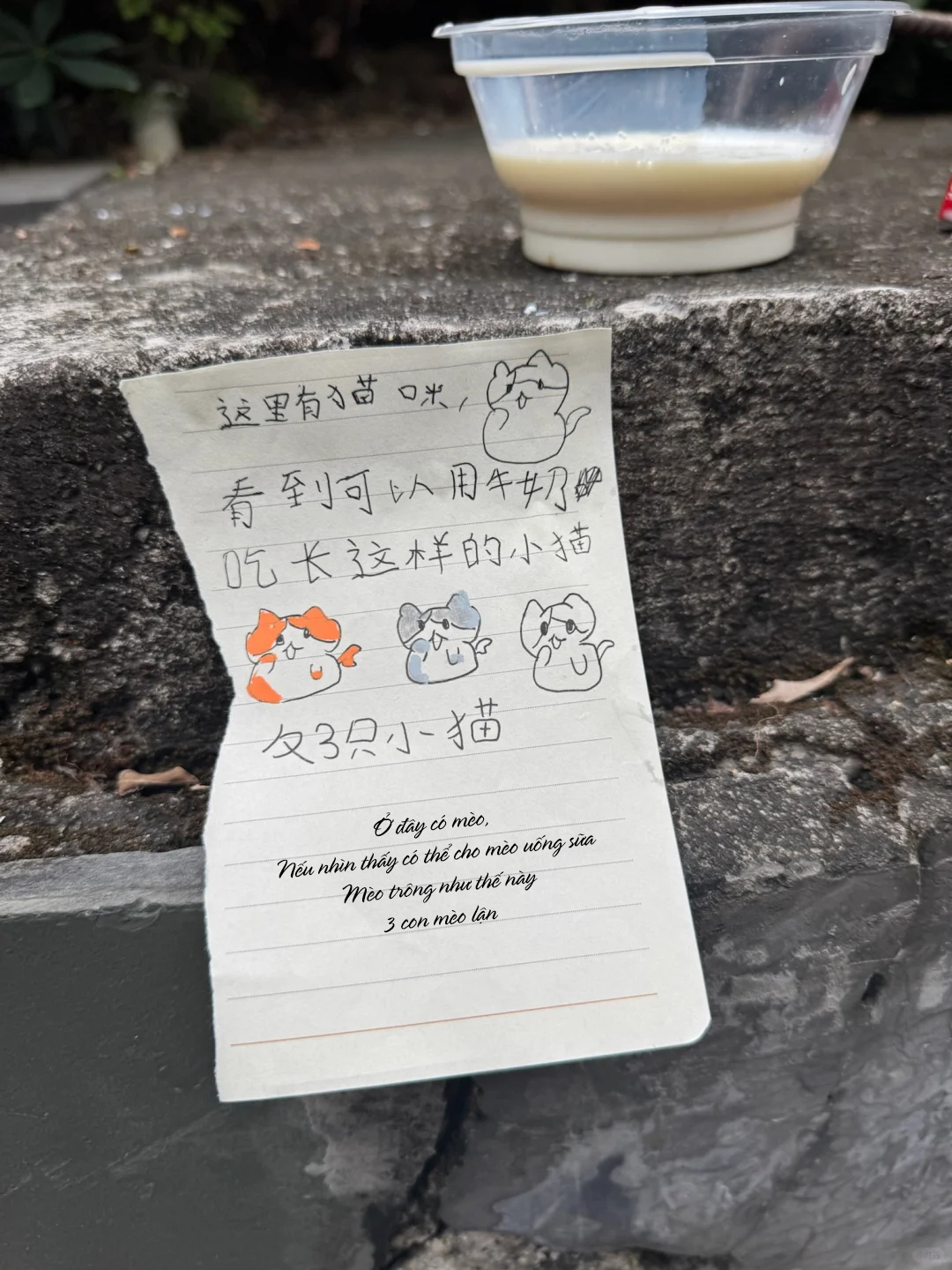 Giữa trời lạnh, người phụ nữ phát hiện bé gái có hành động lạ dưới sân chung cư, vừa thấy chị đến thì lập tức bỏ chạy- Ảnh 3.