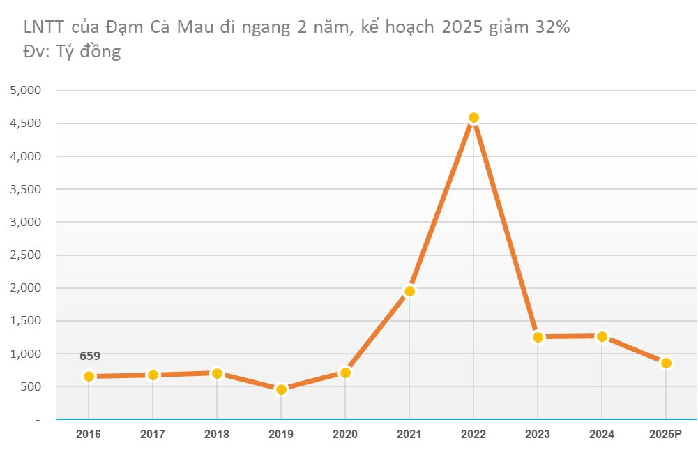 Lãi quý 4/2024 của Đạm Cà Mau giảm 74%, lên kế hoạch 2025 giảm 32%- Ảnh 3.