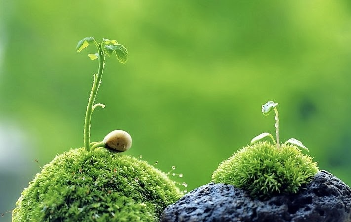 Nằm lòng 10 điều, năm 2025 chắc chắn dễ dàng hơn với bạn: Hợp tác với đối thủ mạnh cần chuẩn bị sẵn cho mình đường lui!- Ảnh 3.