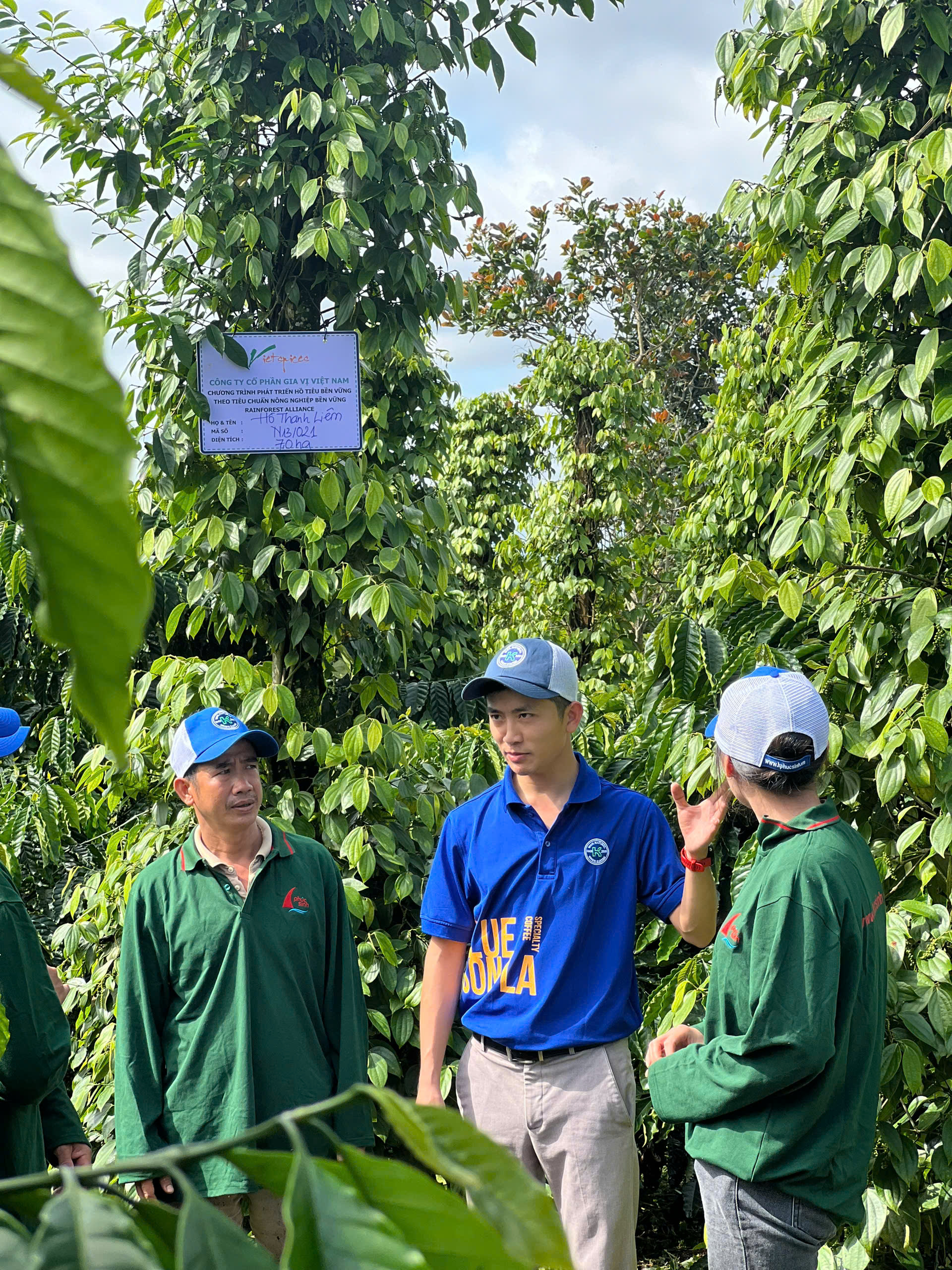 "Chuyên gia Colombia nói với tôi: Cà phê Arabica Sơn La tuyệt vời thế này mà bán rẻ là có lỗi với đất trời"- Ảnh 5.