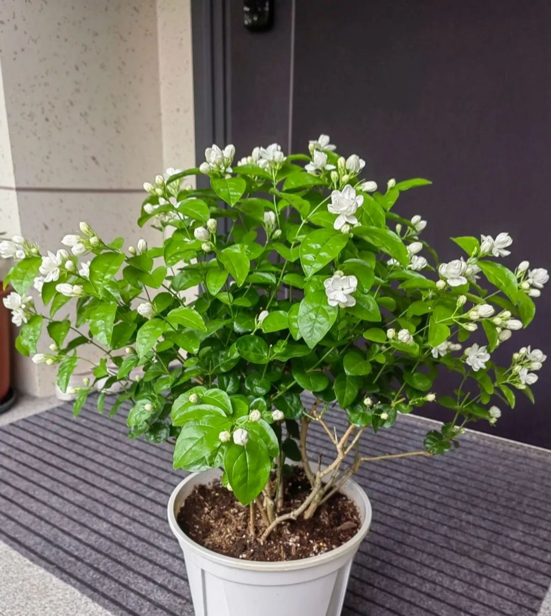 Xin khẳng định: Chỉ người EQ thấp Xin khẳng định: Chỉ người EQ thấp