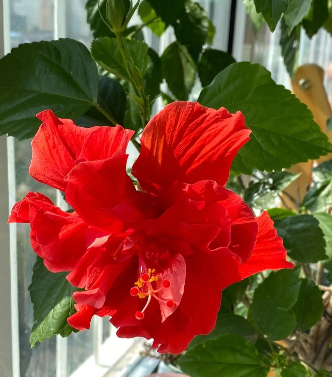 Xin khẳng định: Chỉ người EQ thấp Xin khẳng định: Chỉ người EQ thấp