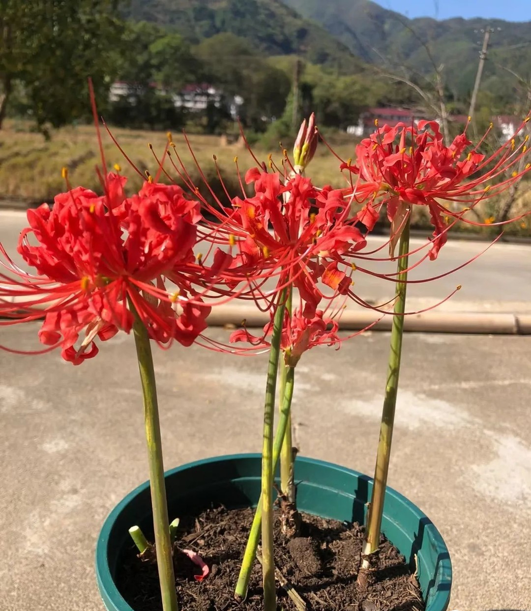 Xin khẳng định: Chỉ người EQ thấp Xin khẳng định: Chỉ người EQ thấp