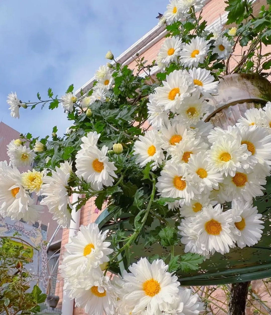 Xin khẳng định: Chỉ người EQ thấp Xin khẳng định: Chỉ người EQ thấp