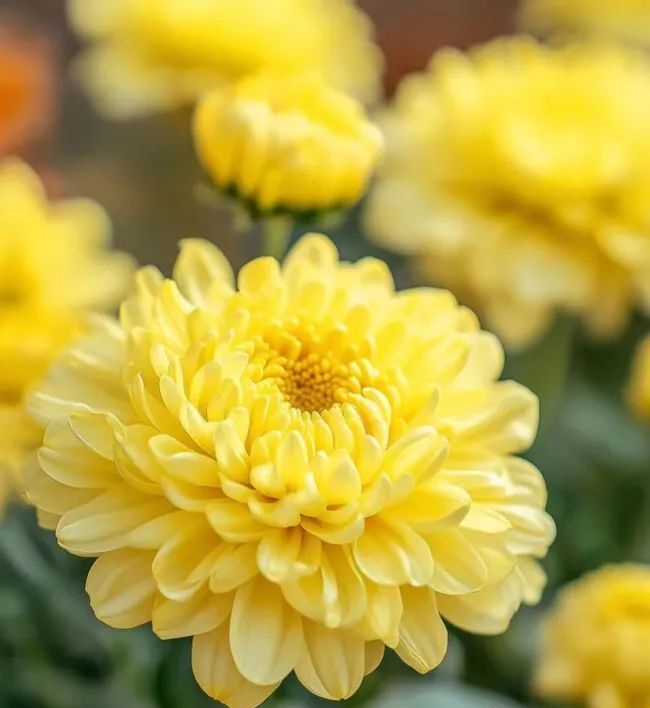 Xin khẳng định: Chỉ người EQ thấp Xin khẳng định: Chỉ người EQ thấp