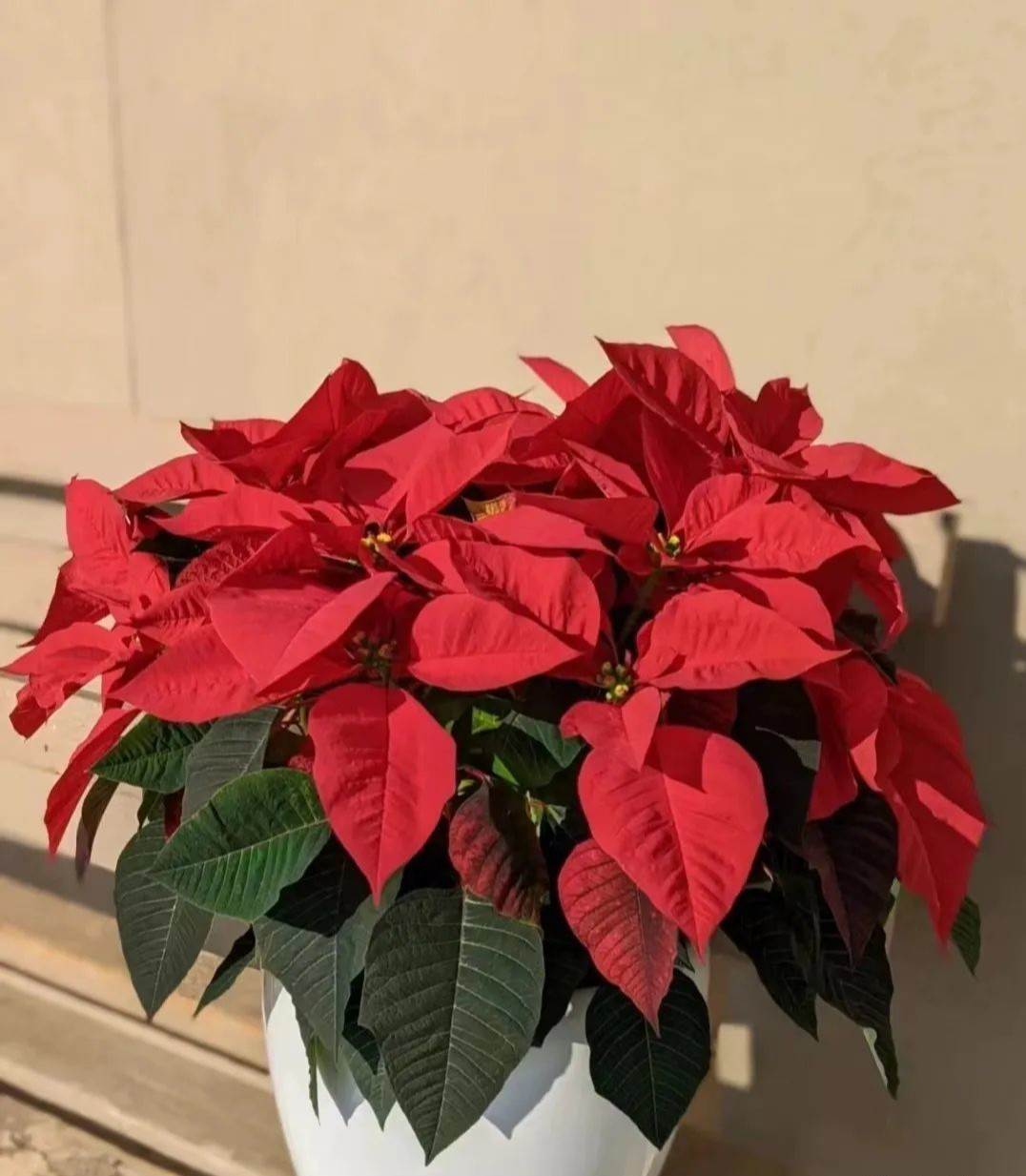 Xin khẳng định: Chỉ người EQ thấp Xin khẳng định: Chỉ người EQ thấp