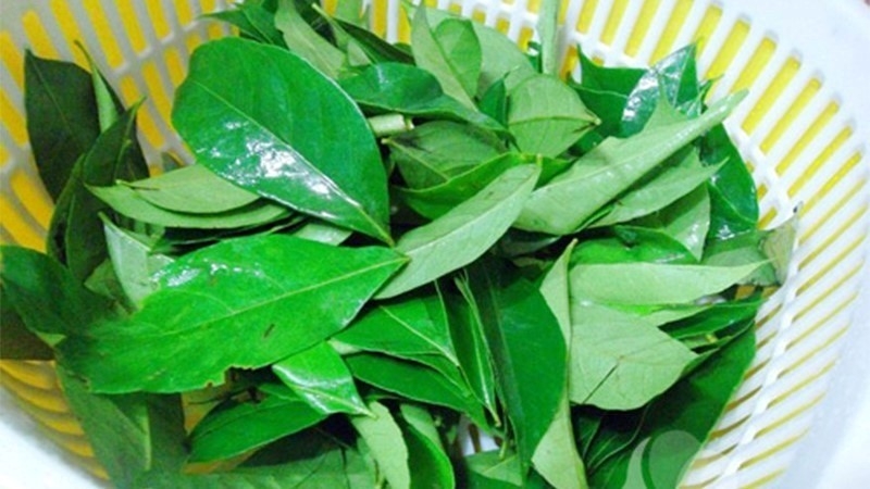 Loại lá thơm phức là "kho" dinh dưỡng cực bổ, ở Việt Nam đi đâu cũng thấy- Ảnh 2. Loại lá thơm phức là "kho" dinh dưỡng cực bổ, ở Việt Nam đi đâu cũng thấy- Ảnh 2.