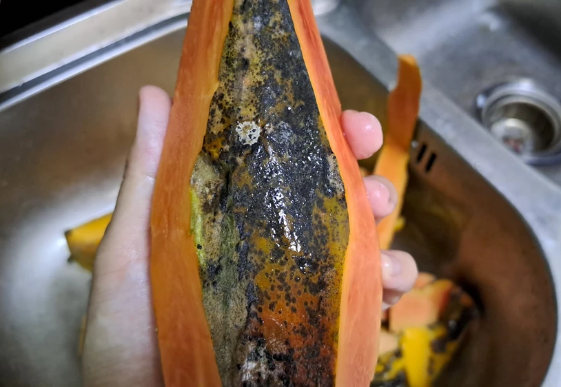 Cả nhà ung thư, bệnh tật chỉ vì 5 thói quen trong bếp tưởng tiết kiệm, sạch sẽ này- Ảnh 2. Cả nhà ung thư, bệnh tật chỉ vì 5 thói quen trong bếp tưởng tiết kiệm, sạch sẽ này- Ảnh 2.