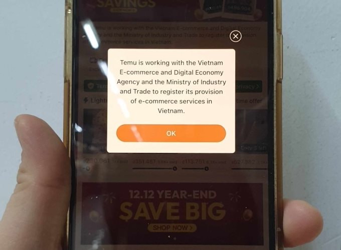 Temu vào Việt Nam: từ cơn lốc khuấy đảo người tiêu dùng đến "bay màu" chỉ sau hai tháng- Ảnh 1.