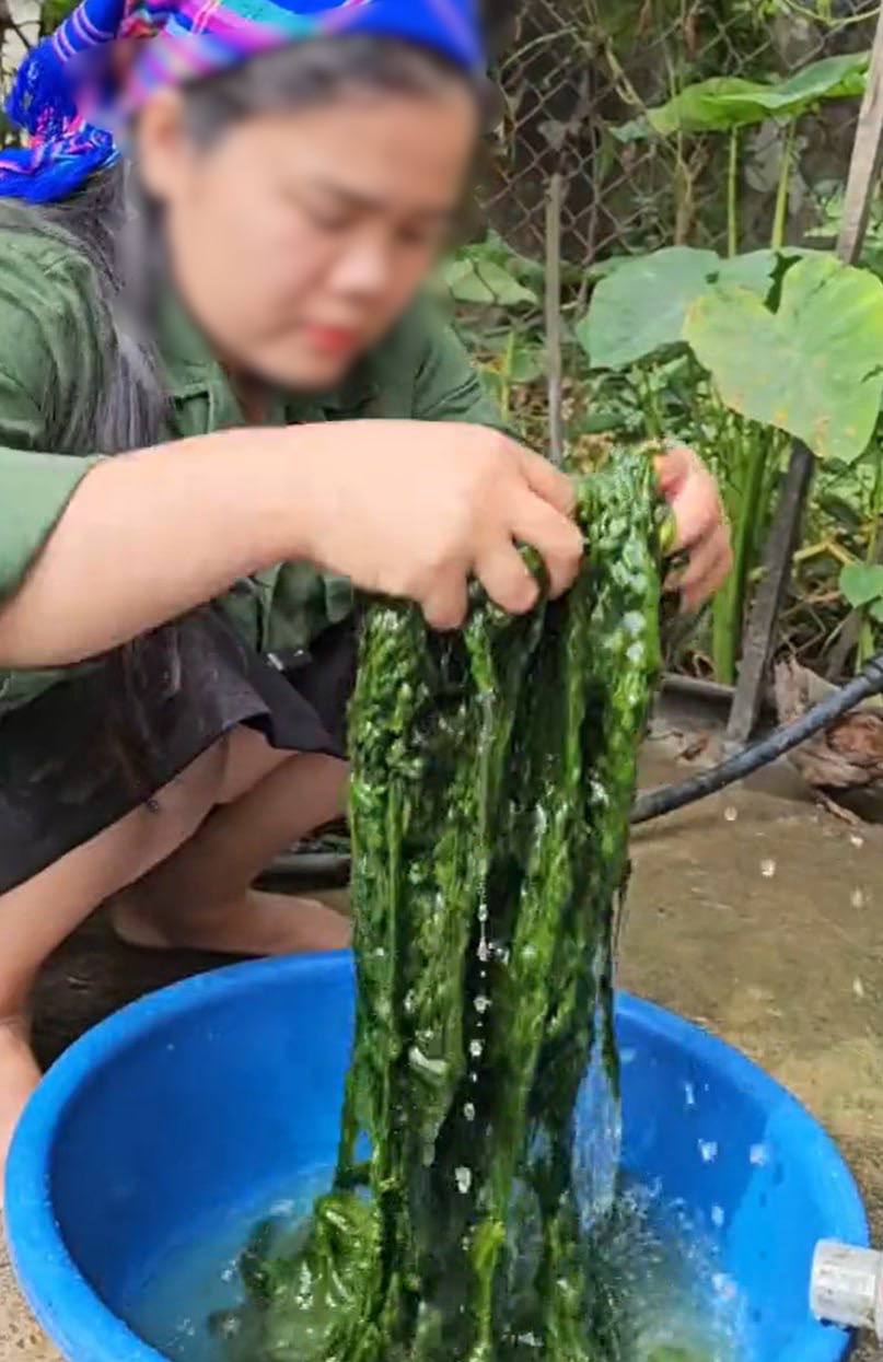 Món ăn được mệnh danh “chỉ dành cho người chung thủy”, cả năm mới có một mùa ở Tây Bắc khiến dân tình háo hức muốn thử- Ảnh 3. Món ăn được mệnh danh “chỉ dành cho người chung thủy”, cả năm mới có một mùa ở Tây Bắc khiến dân tình háo hức muốn thử- Ảnh 3.