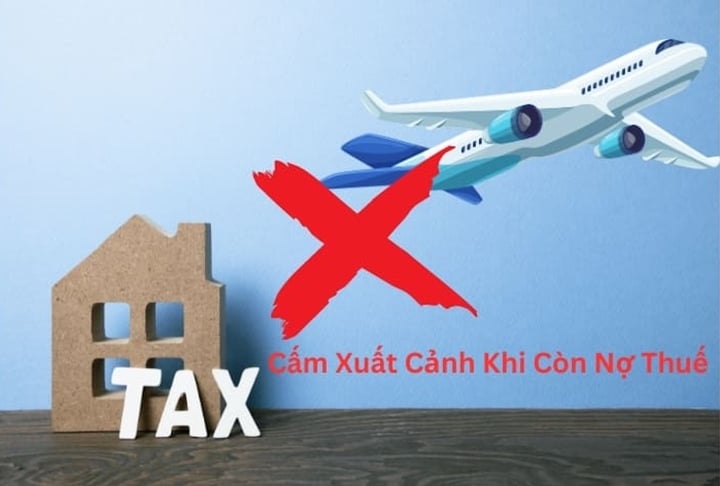 Đề xuất nợ thuế từ 10 triệu đồng sẽ bị tạm hoãn xuất cảnh- Ảnh 1.