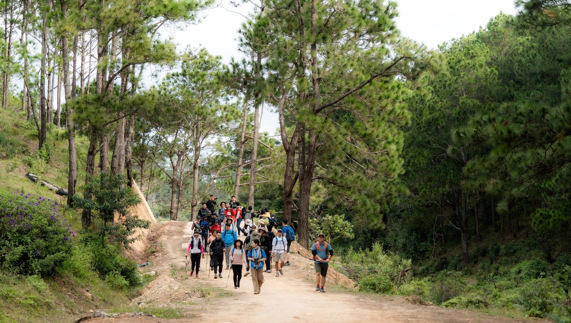 Trải nghiệm cung đường trekking đẹp nhất Việt Nam mùa cỏ cháy- Ảnh 2.