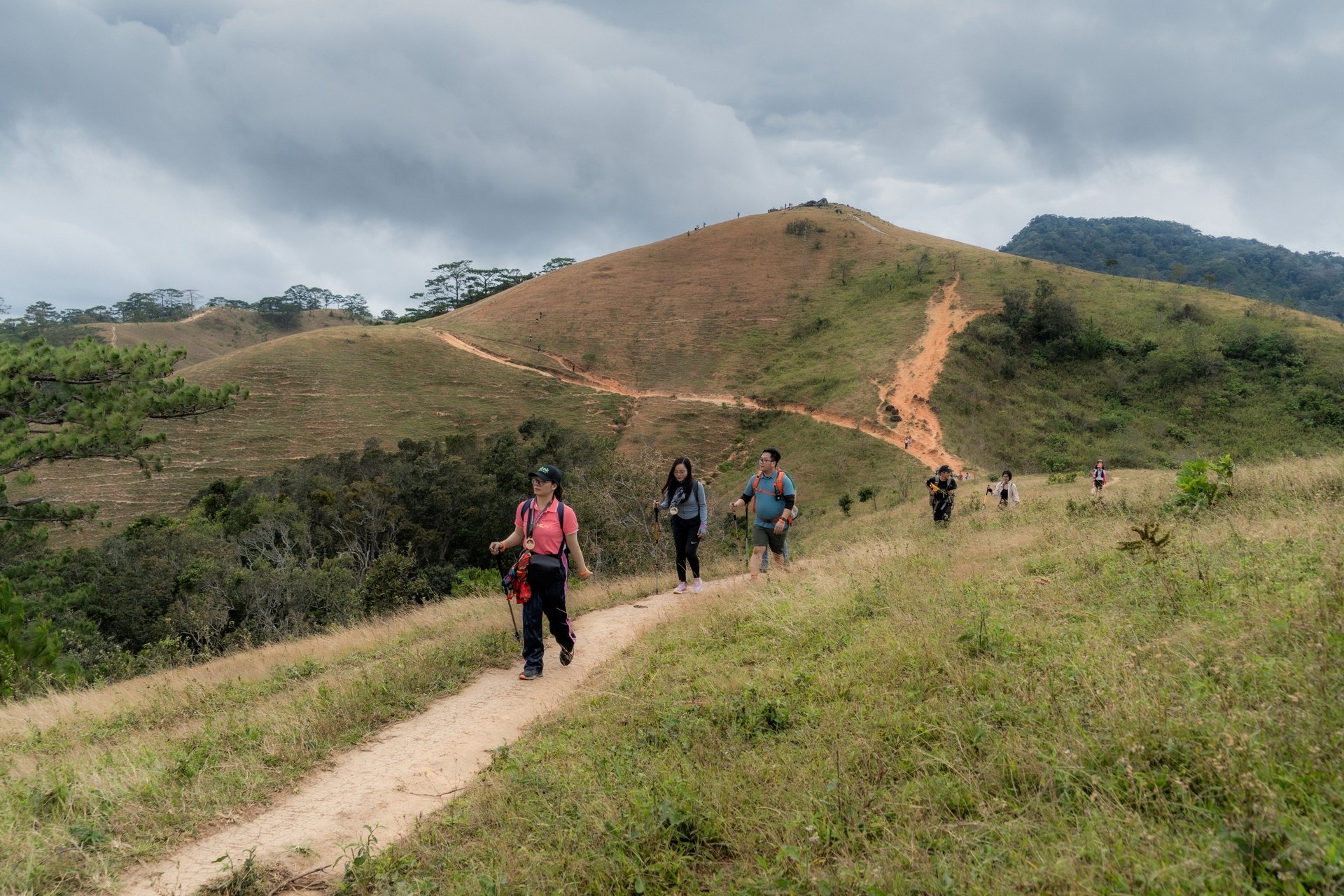 Trải nghiệm cung đường trekking đẹp nhất Việt Nam mùa cỏ cháy- Ảnh 11.
