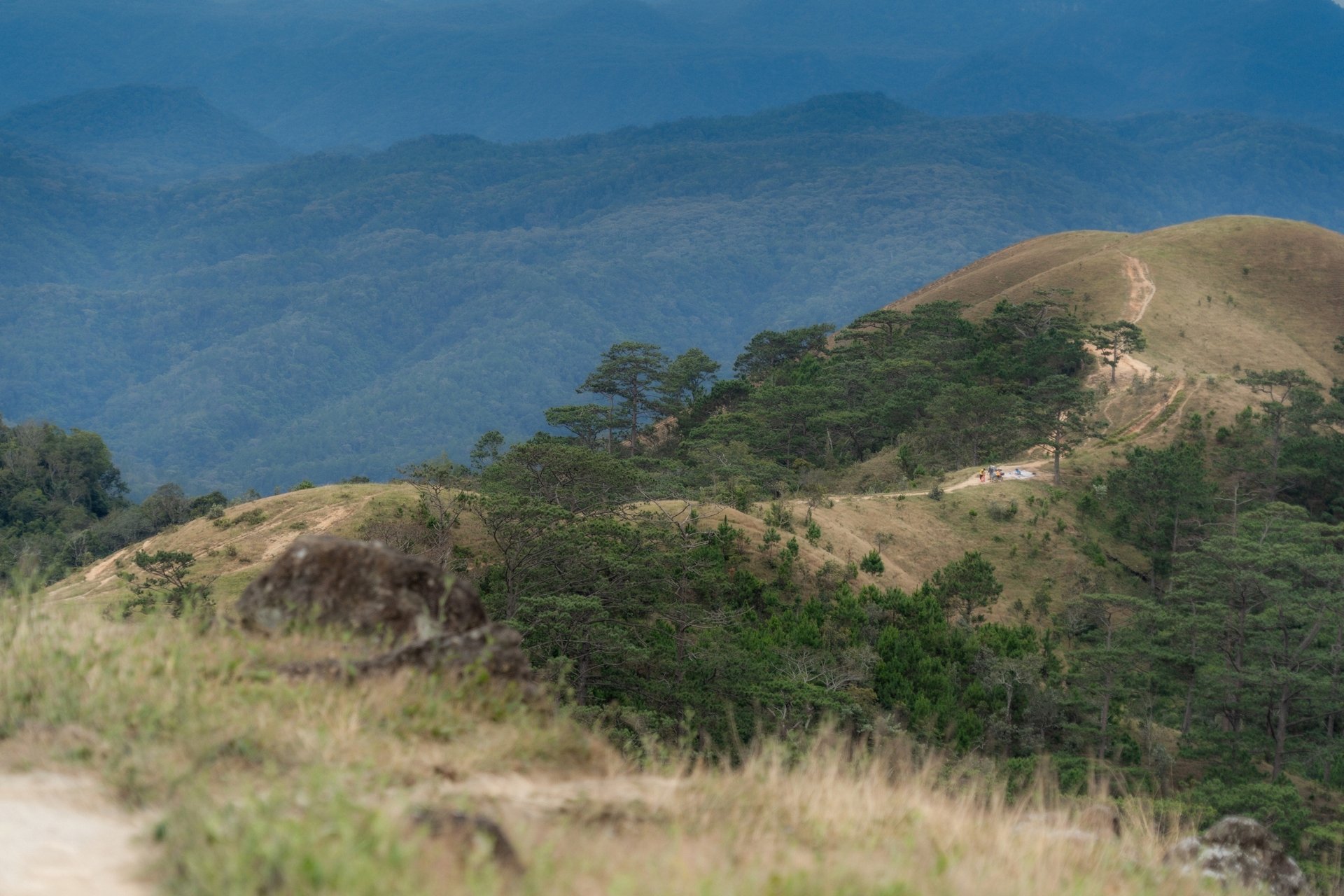 Trải nghiệm cung đường trekking đẹp nhất Việt Nam mùa cỏ cháy- Ảnh 1.