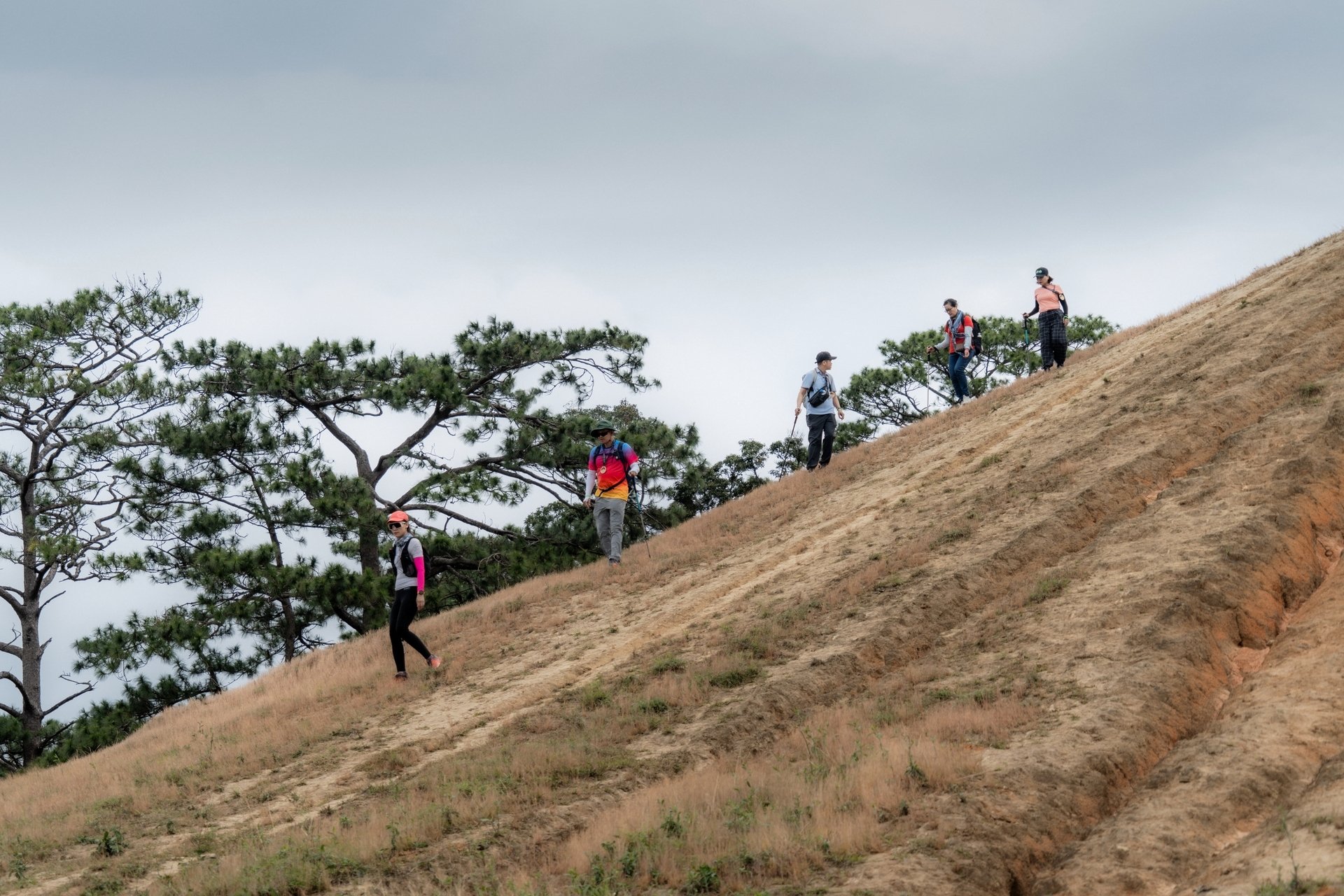 Trải nghiệm cung đường trekking đẹp nhất Việt Nam mùa cỏ cháy- Ảnh 15.