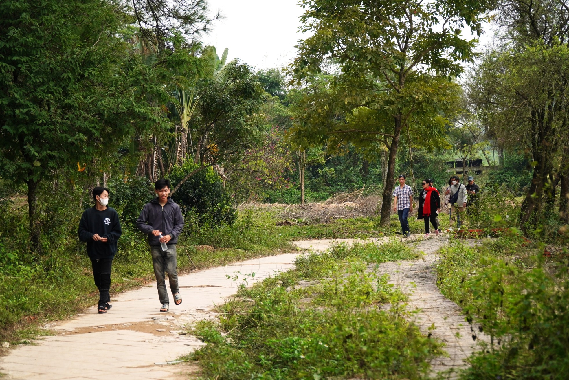 Kéo nhau lên công viên ‘kinh dị’ tại Huế ngắm rồng khổng lồ trước khi bị đập bỏ - Ảnh 9.