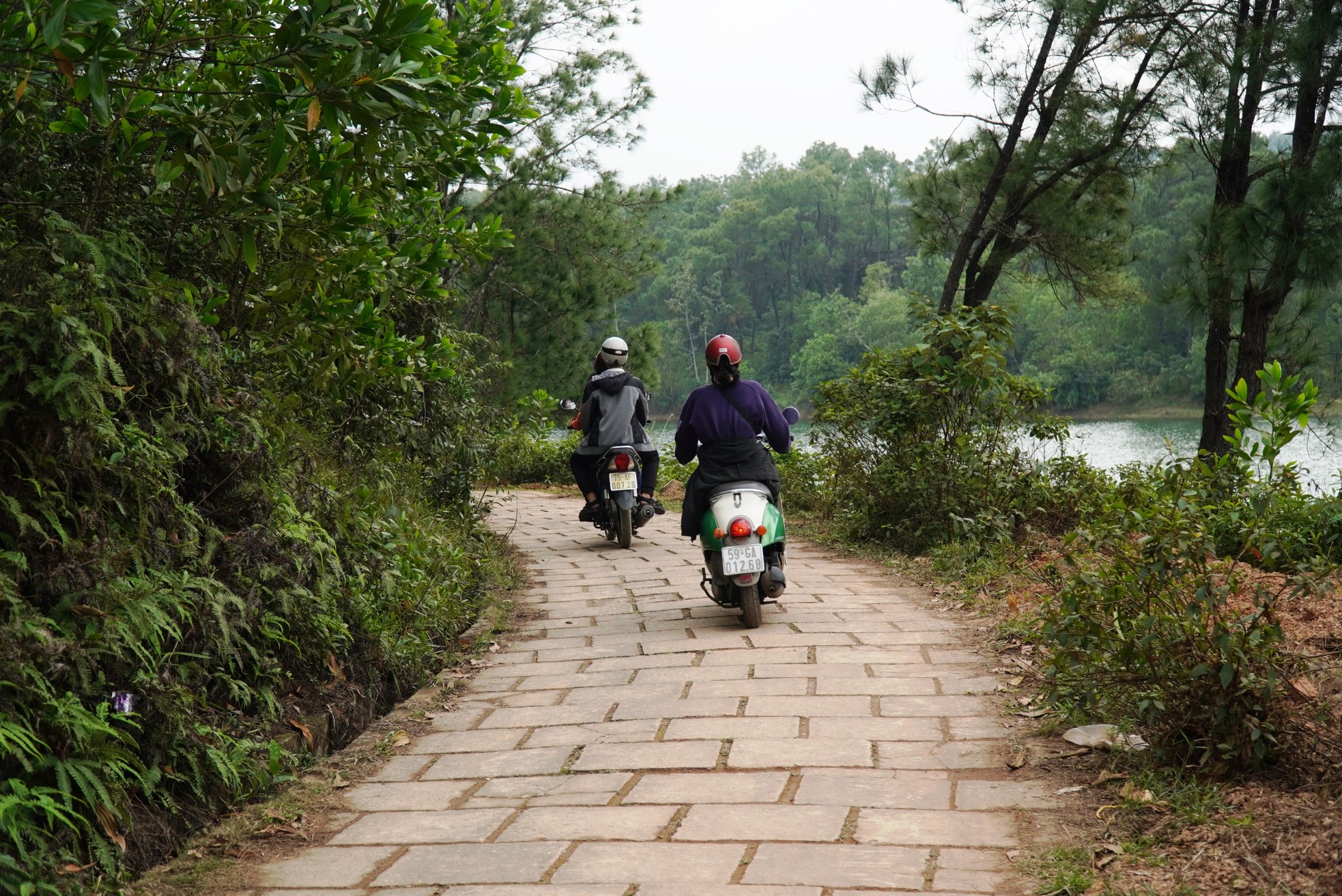 Kéo nhau lên công viên ‘kinh dị’ tại Huế ngắm rồng khổng lồ trước khi bị đập bỏ - Ảnh 8.