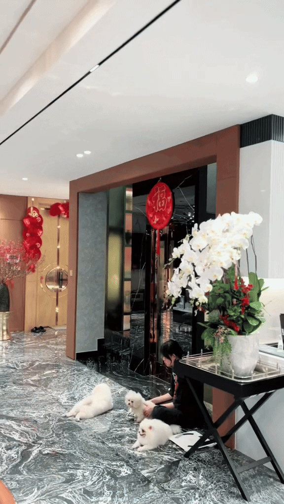 Mai Tây cùng mẹ chồng decor Tết cho căn villa trăm tỷ: Vị trí đắc địa Đảo Kim Cương, loạt nột thất giá trị khủng- Ảnh 6.