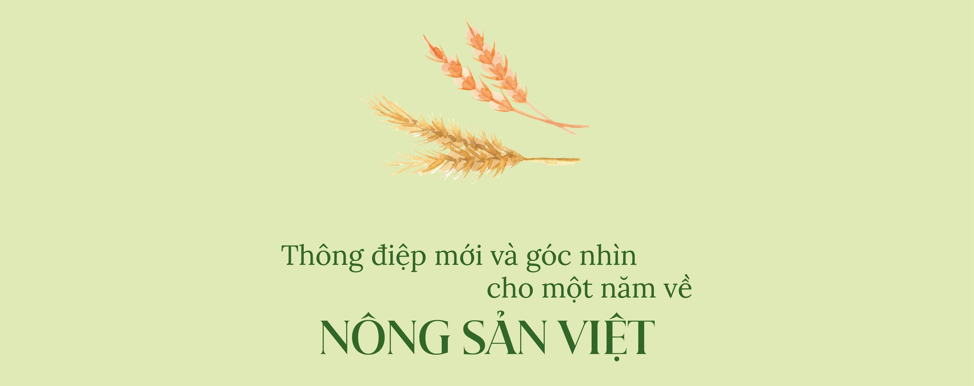 “Con đường nông sản 2023 - vị thế nông sản Việt”: Một Việt Nam đi bằng chất lượng - Ảnh 2.