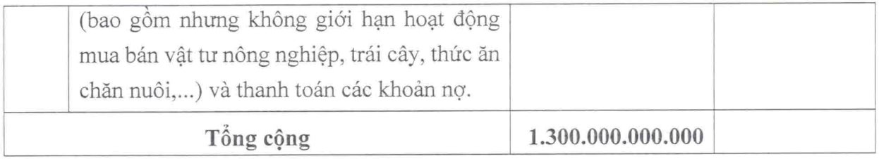 Uỷ ban Chứng khoán chấp thuận phương án phát hành 1.300 tỷ của Hoàng Anh Gia Lai (HAGL) - Ảnh 3.